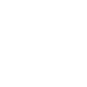 Burn the Jukebox logo